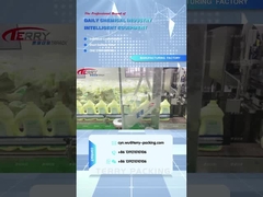 2L temizlik ürünleri shengdailisha